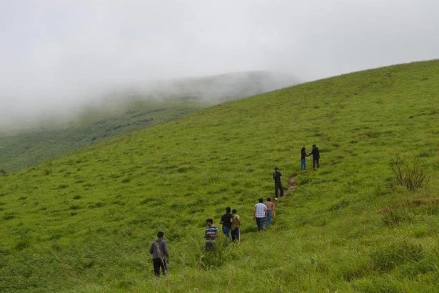 Brahmagiri Trekking Adventure — photo 3